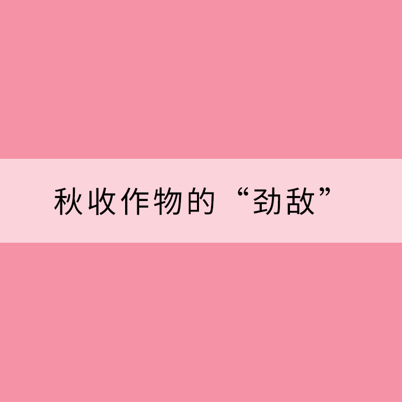 溫度對人體健康影響研究新進展